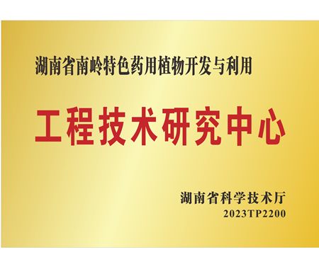 湖南省工程技术钻研中心
