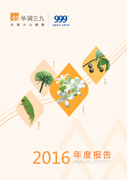 必赢亚洲：2016年年度汇报