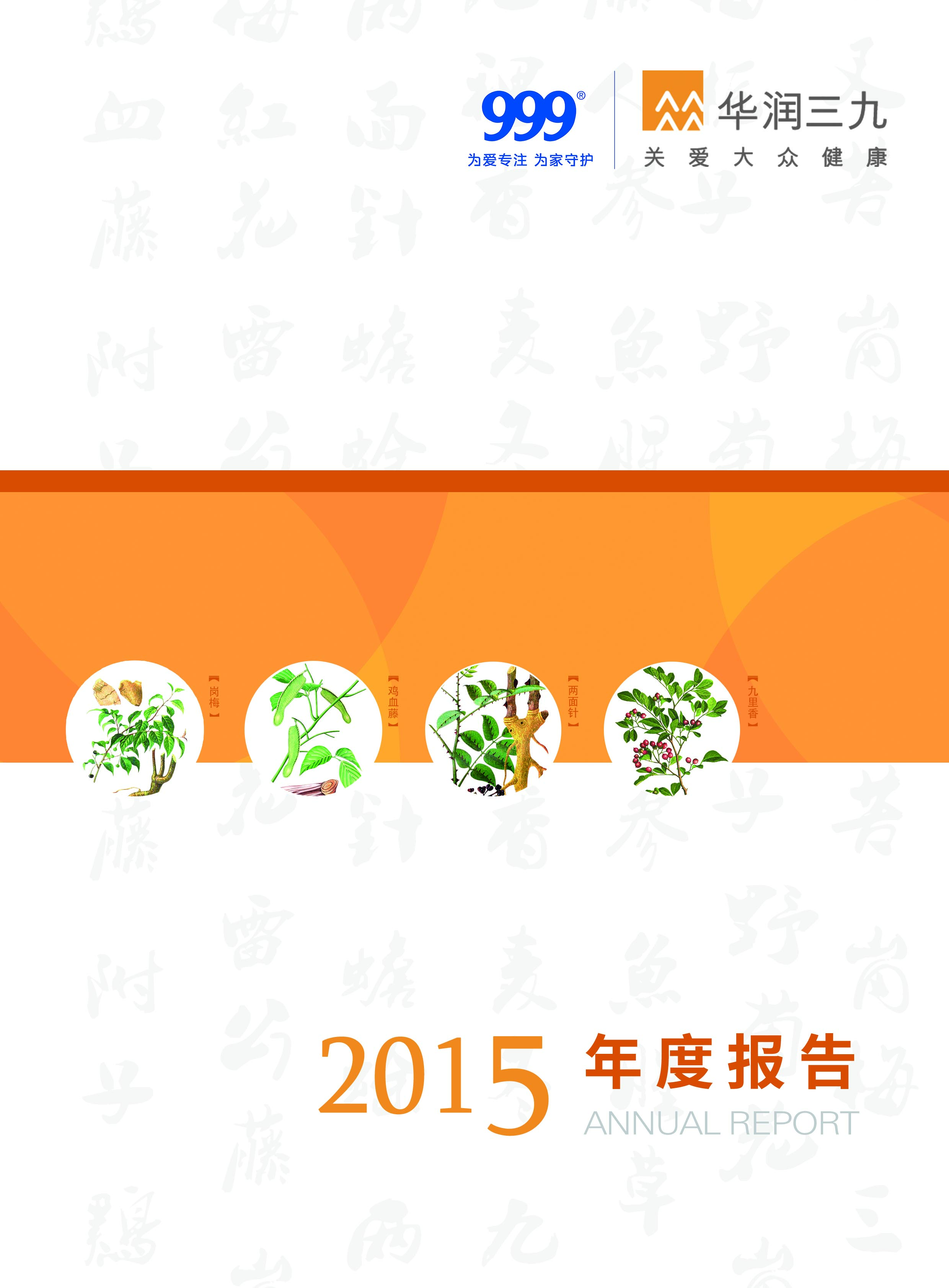 必赢亚洲：2015年年度汇报