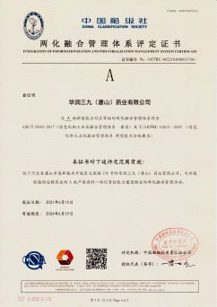 2021年两化融合治理系统评定证书