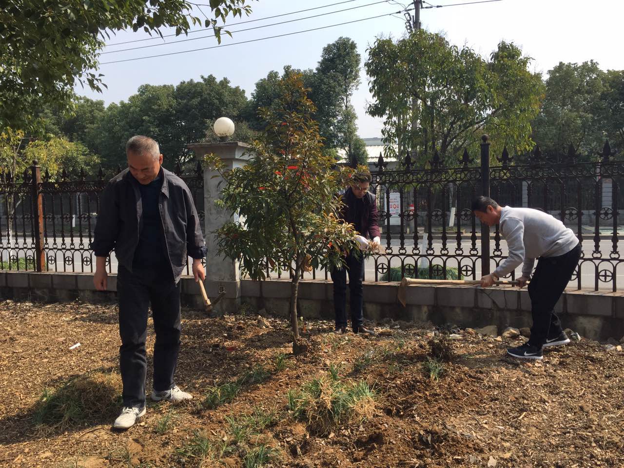 老桐君：美化家园，我们在行动-content1.jpg