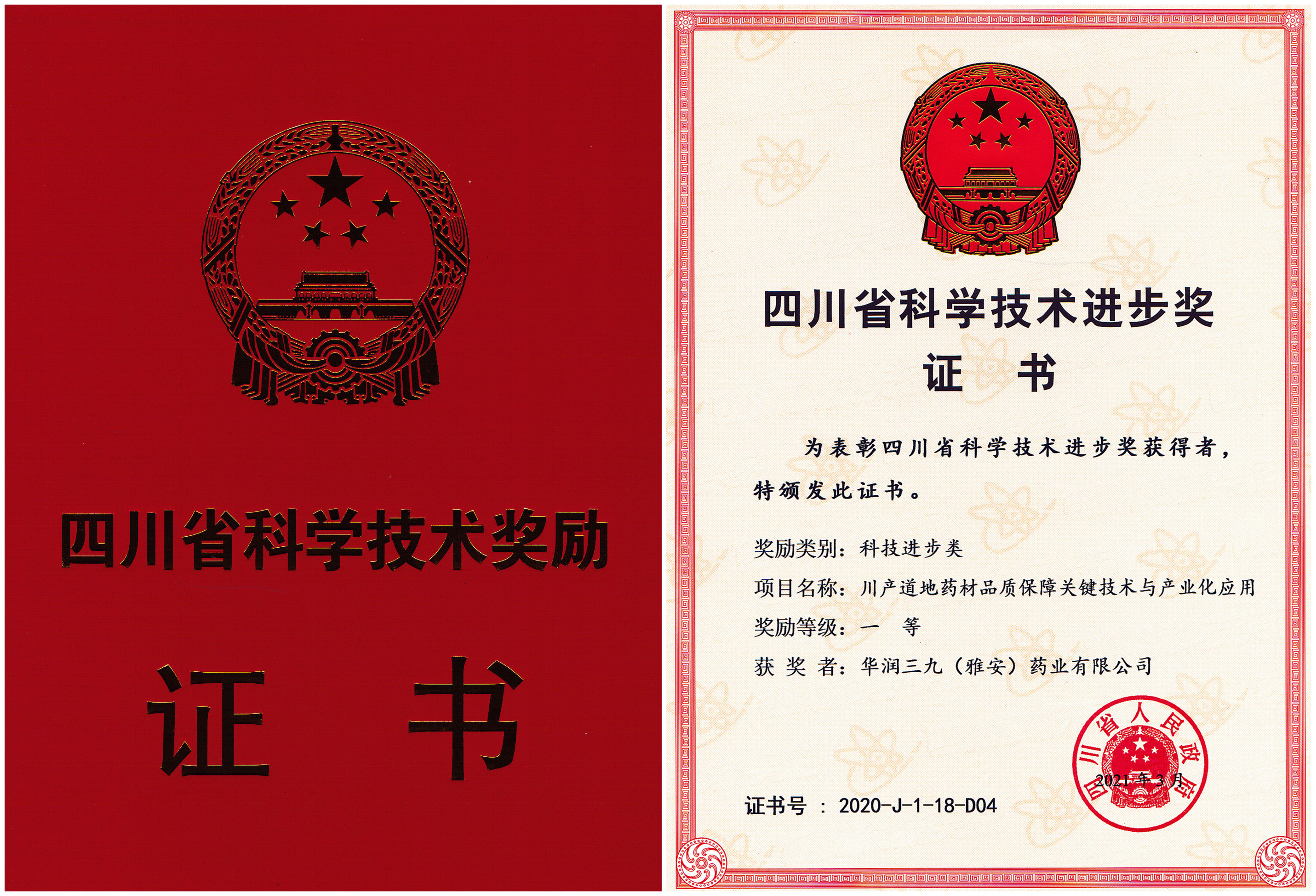 四川省科技进取一等奖-2021年