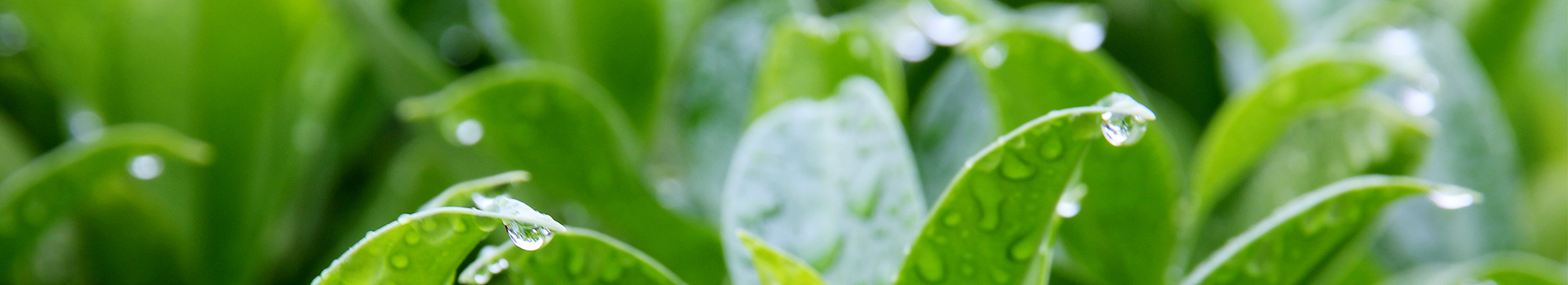 d2cebdea-13f3-418e-92f4-0469fec9fbed